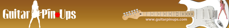 Vinyl guitar skin wrap kits by Brand O Guitar Company